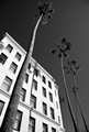 IMG_2207_4