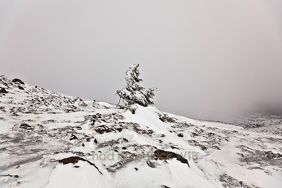 20110221-IMG_6815-2