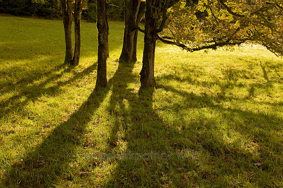 Nature105IMG_3095