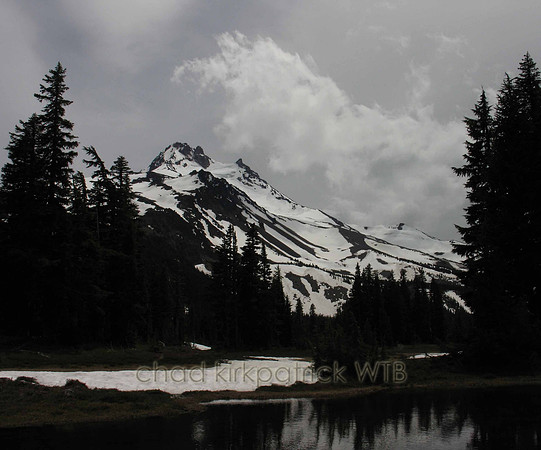 Nature202WTB_063