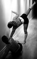 IMG_3536