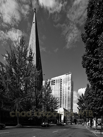 IMG_8812_6.jpg