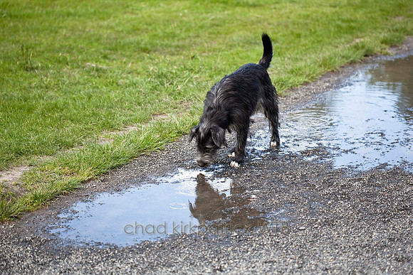 IMG_6276