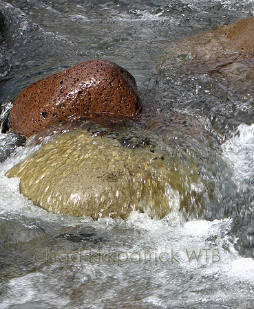 Nature179IMG_2442_1