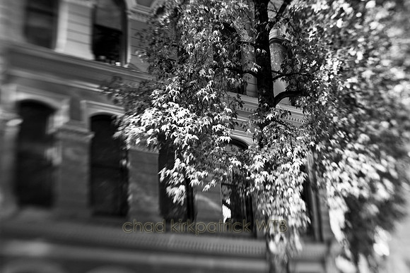 IMG_0328_1