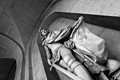 IMG_5453