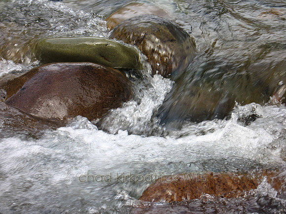 Nature178WTB_018