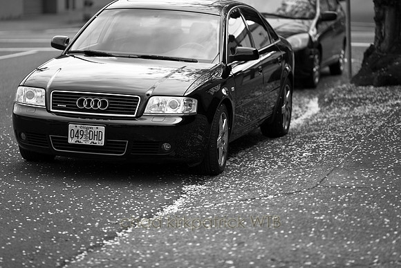 IMG_2780_1