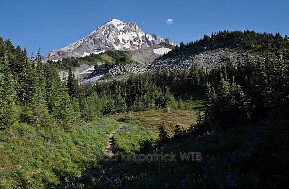 IMG_4507_3
