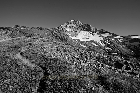 IMG_7962_2