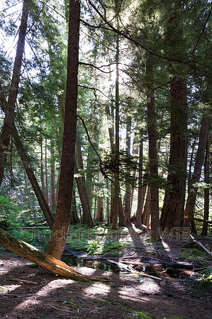 20120728-IMG_0582-0585_Panorama1-2