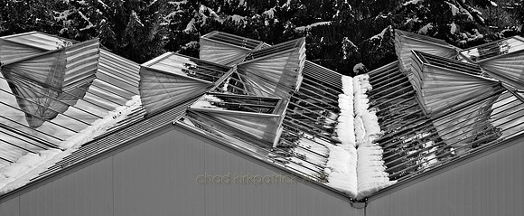 IMG_6521_1