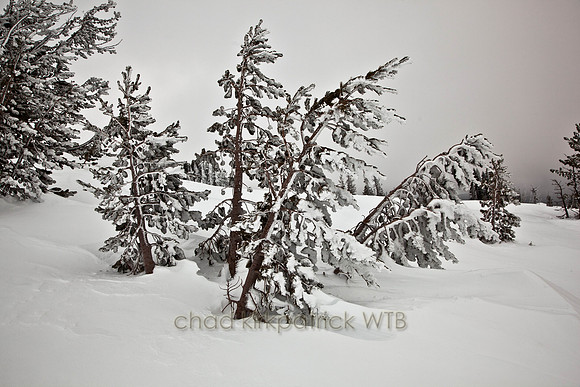 20110221-IMG_6781-2