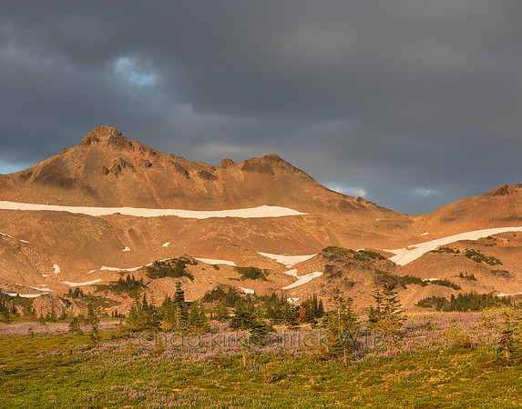 20120818-IMG_1665