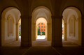 IMG_8914_1.jpg