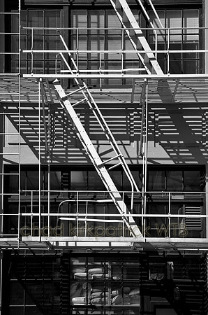 IMG_7778_1b