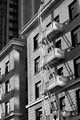 IMG_5135_2