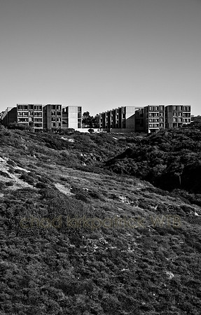IMG_2507_3