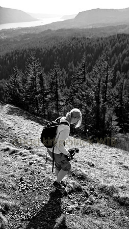 IMG_2662_3