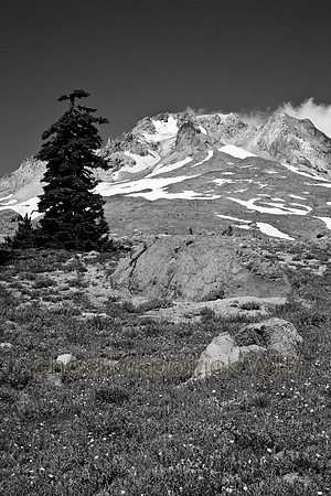 IMG_6941_3