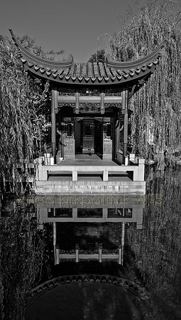IMG_9968_5