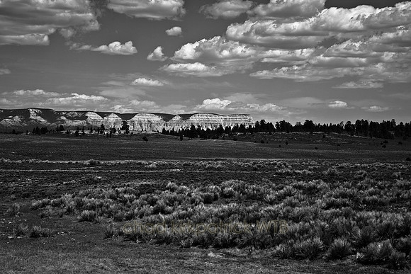 IMG_0150_2