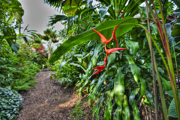 IMG_9068_70_HDR2_tonemapped_1