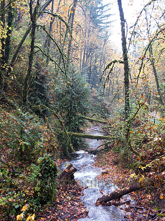20121103-IMG_4384