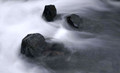 Nature005IMG_6628_1