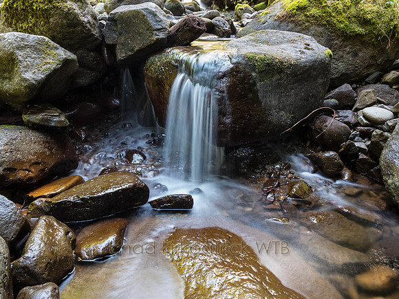 20130810-IMG_0531