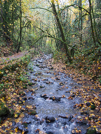 20121103-IMG_4373
