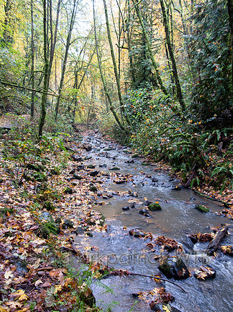20121103-IMG_4379