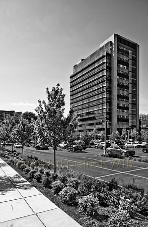 IMG_7199_4