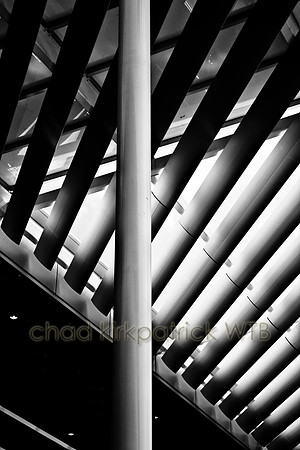 IMG_6416_1