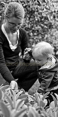IMG_5678_3
