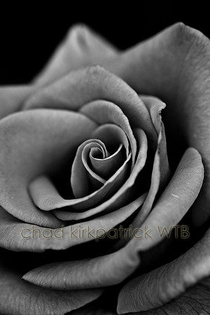 IMG_9403_2