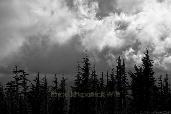 IMG_7270_3