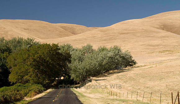 Nature137IMG_0261