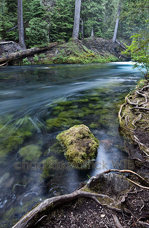 IMG_1260_2.jpg