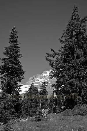 IMG_6710_3