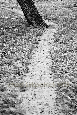 IMG_1150_2