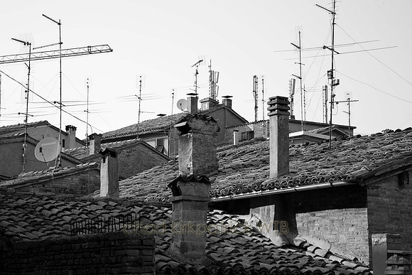 IMG_9828