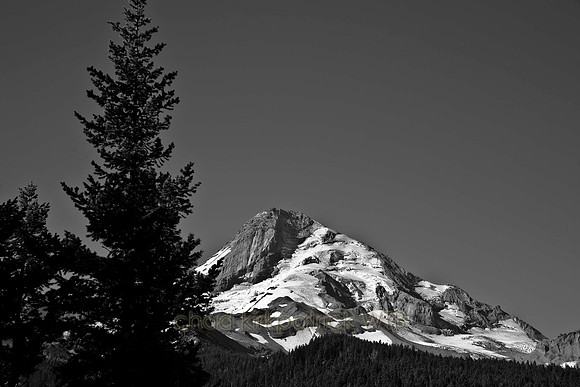 IMG_6392_6