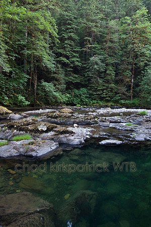 IMG_1040_1.jpg