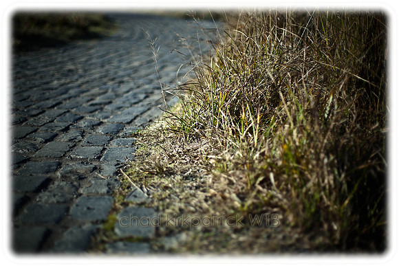 20110110-IMG_4254