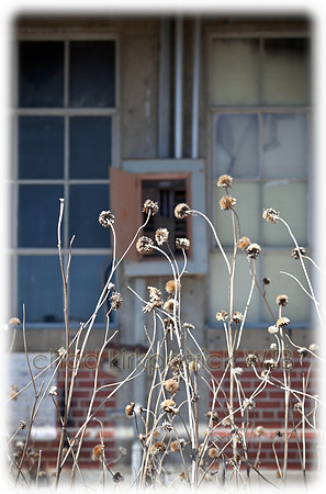 20110405-IMG_8505