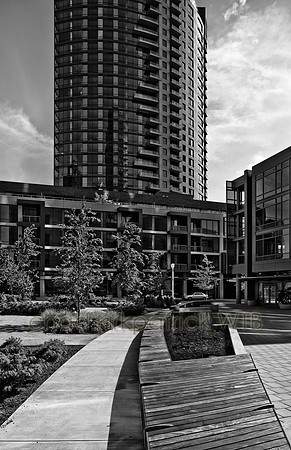 IMG_7284_3