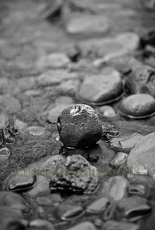 IMG_4312_4.jpg