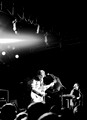 IMG_8499_2b