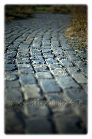 20110110-IMG_4259